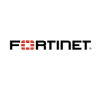 Fortinate_carro